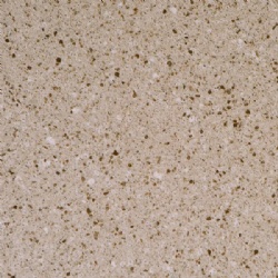 NV 1529 Light Brick