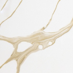 NV 4039 Golden Flow